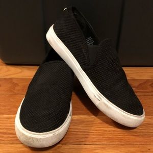 Steve Madden Zarayy Slip On Sneaker